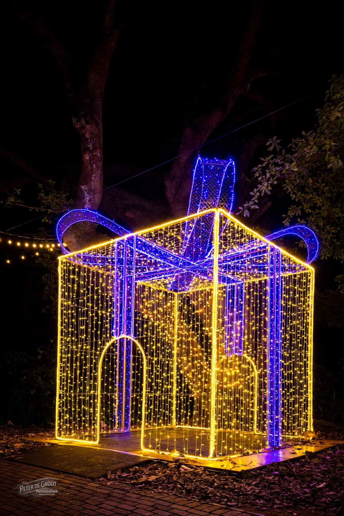 Durban Botanic Gardens Trail of Lights Dazzles with African and
