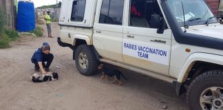 Local residents and holiday travellers beware of deadly rabies