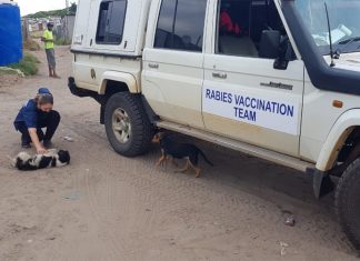 Local residents and holiday travellers beware of deadly rabies