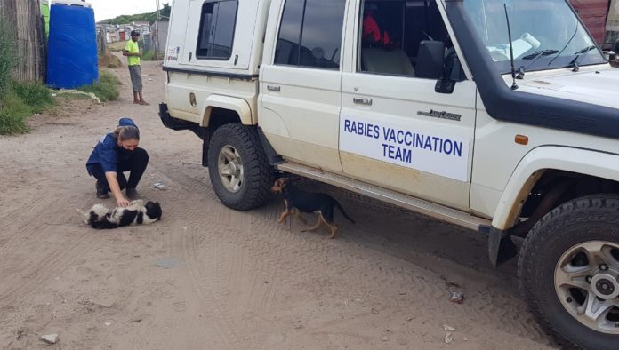 Dr-Renee-Seaview-Area-Optima-CVC-Vaccination-Car-photo-2 Local residents and holiday travellers beware of deadly rabies
