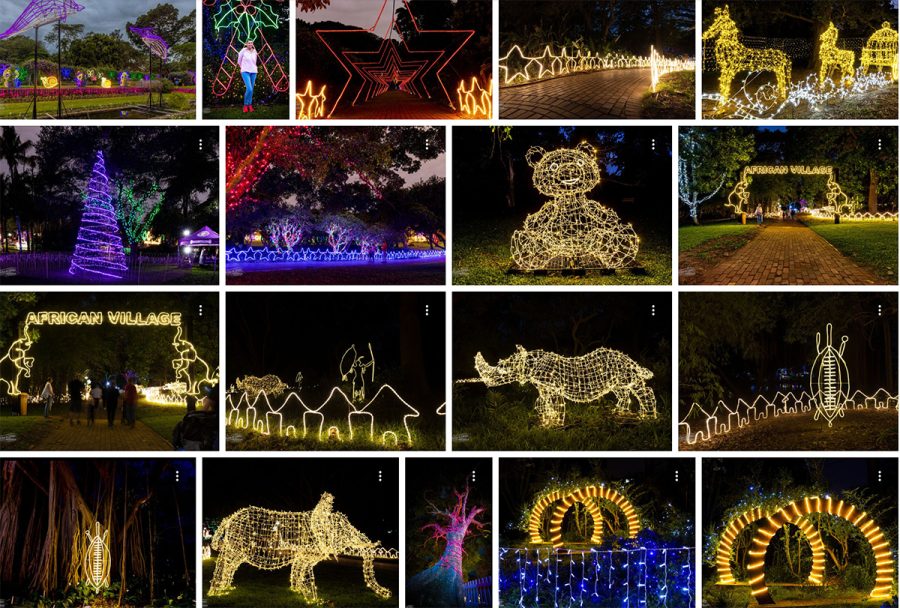 Durban Botanic Gardens Trail of Lights Durban Botanic Gardens Trail of Lights