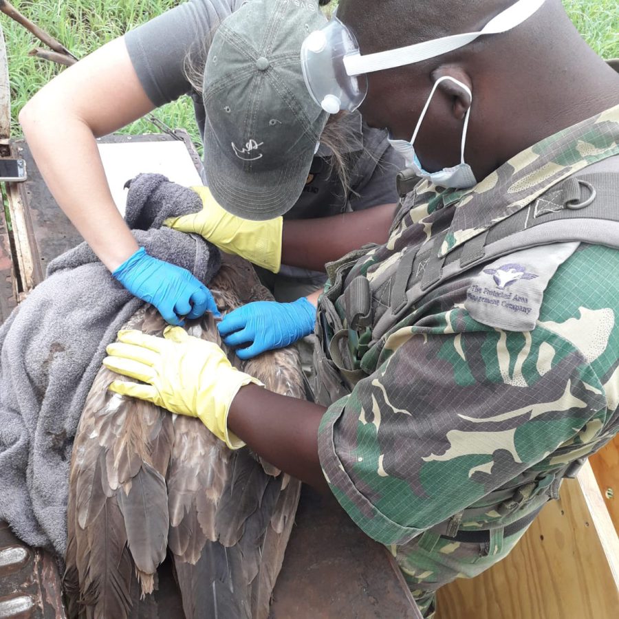 Photo by Meiring Prinsloo, Managing Director at The Protected Area Management Company1