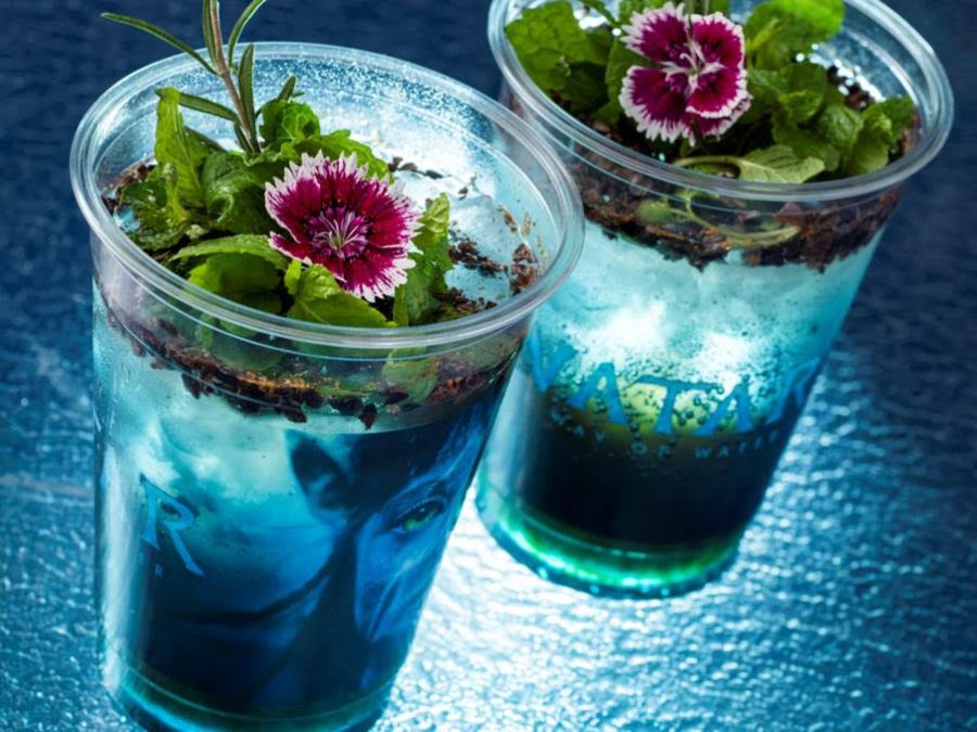 Quench your thirst the Pandoran way: This is the Pandora-inspired drink that visitors to the Tokyo Disney Resort will be able to sample during the opening week of Avatar, Way of Water. One of the exotic flavours included in this otherworldly drink is none other than South African favourite, Rooibos. Patrons are in for a real treat as the drink can also be lit up to reflect the wonder of Pandora.