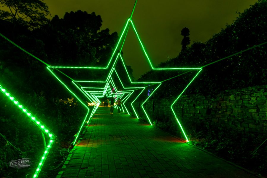 Durban Botanic Gardens Trail of Lights
