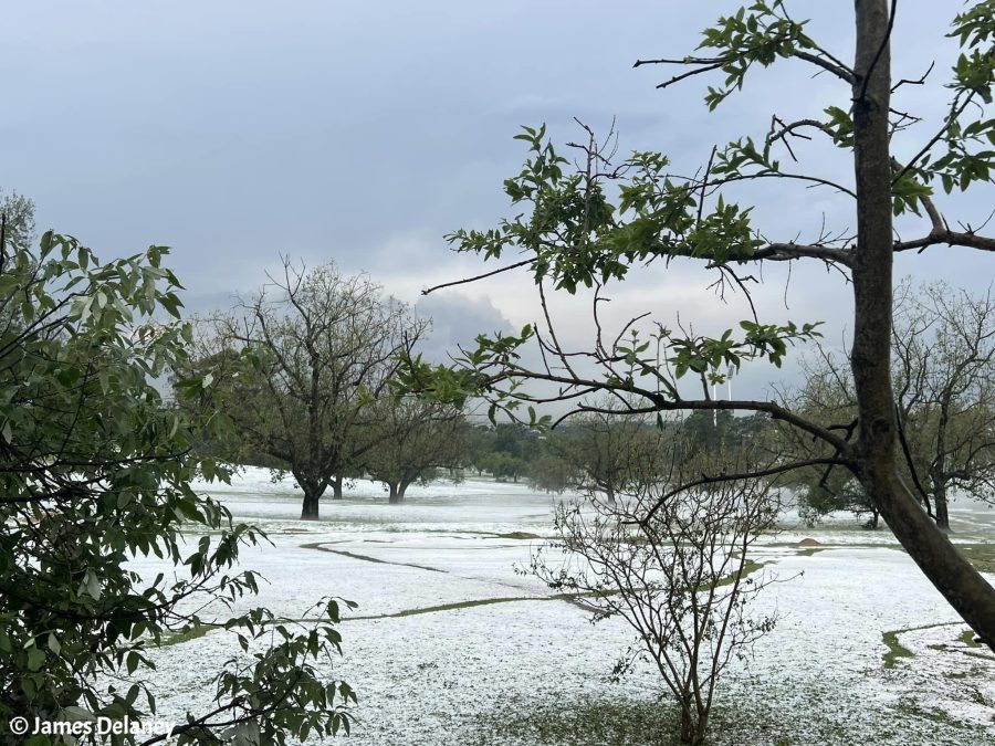 Photos Hail in Johannesburg South Africa