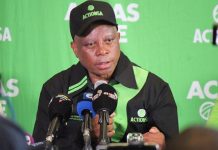 herman-mashaba
