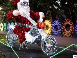 Durban Botanic Gardens Trail of Lights