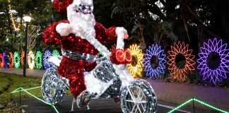 Durban Botanic Gardens Trail of Lights