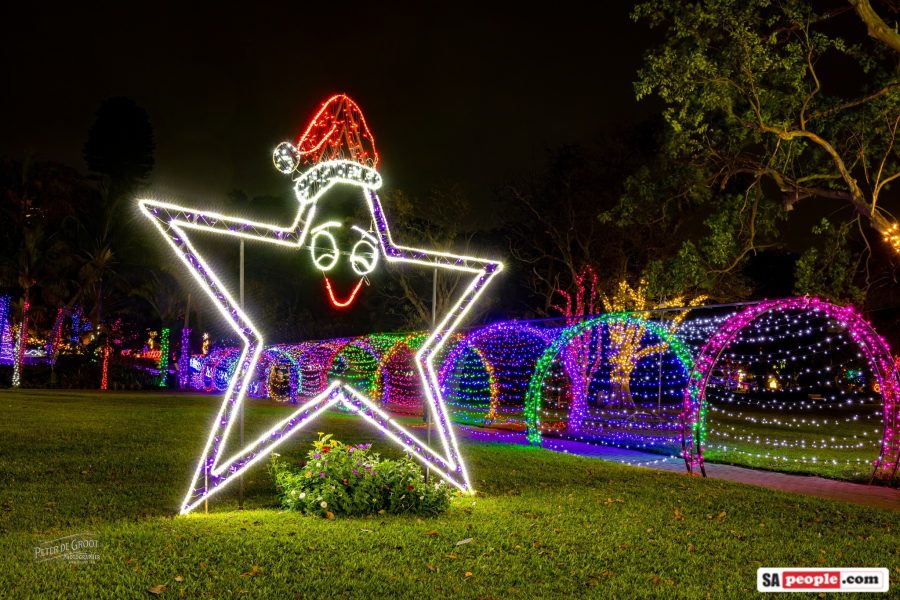 Durban Botanic Gardens Trail of Lights Dazzles with African and