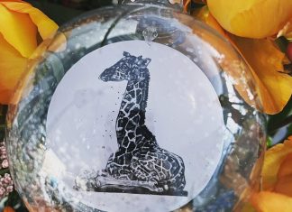 Wildlife Christmas Baubles Help Baby Rhino Orphan Get Adopted