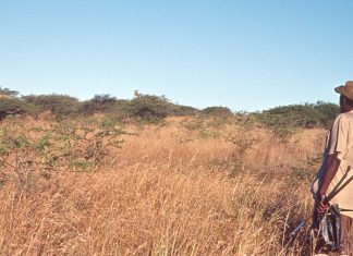 Skukuza Field Rangers Sentenced to Seven Years in Prison