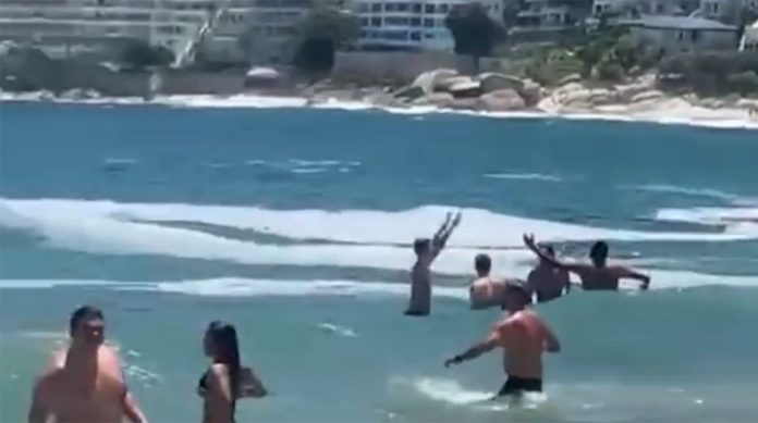 American Actress's Lighthearted Response to Seal Incident in Camps Bay, South Africa. Photo: Instagram screenshot American Actress's Lighthearted Response to Seal Incident in Camps Bay, South Africa. Photo: Instagram screenshot
