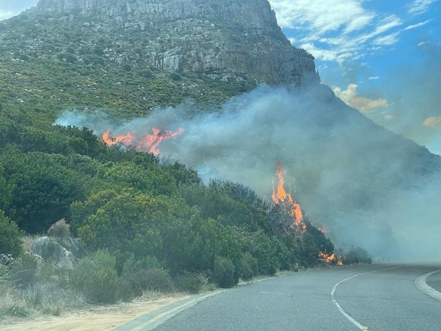 Firefighters' Rapid Response to Fire Along Boyes Drive in Muizenberg