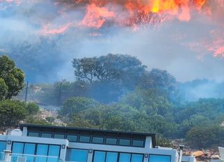 Firefighters' Rapid Response to Fire Along Boyes Drive in Muizenberg