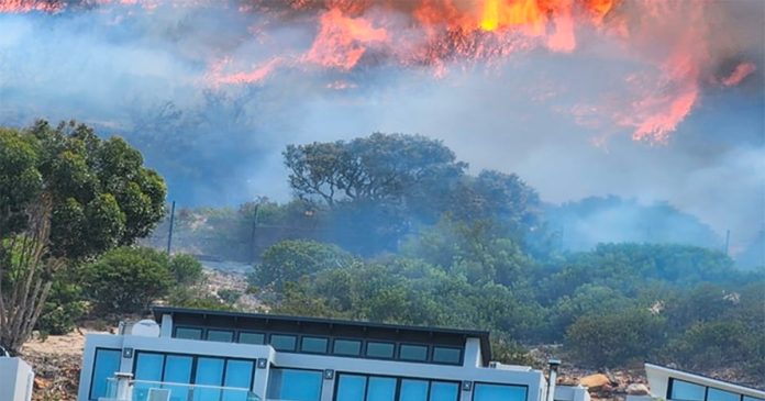 Boyes-Drive-Fire-th-3-Table-Mountain-National-Park Firefighters' Rapid Response to Fire Along Boyes Drive in Muizenberg