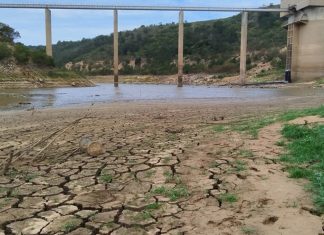 Dam in Nelson Mandela Bay is at its Lowest Level Ever