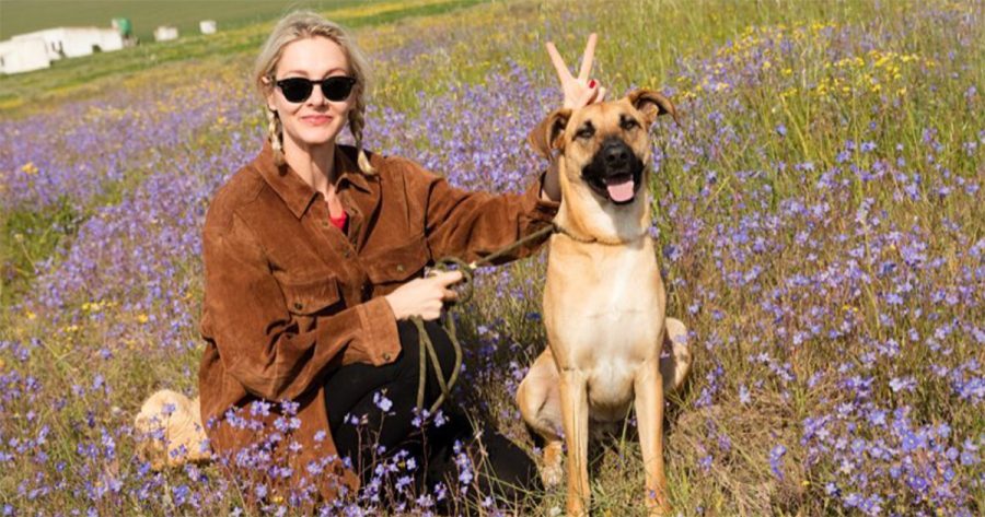 Loulou Taylor American actress Cape Town seal attack