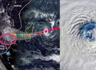 Cyclone Freddy
