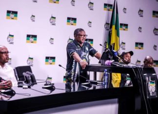 Fikile Mbalula