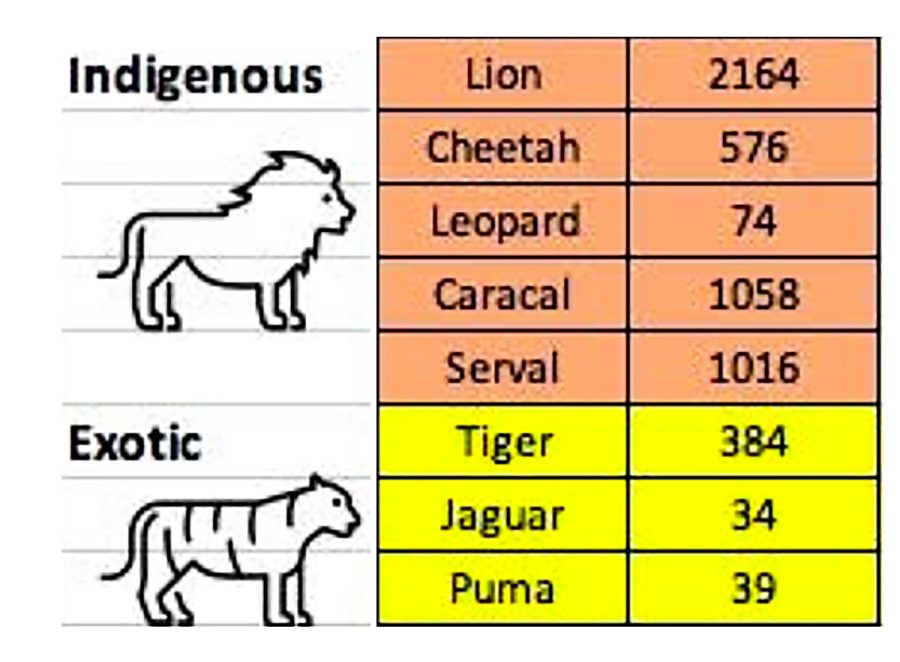 captive lion breeding South Africa