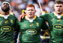 Springboks All Blacks