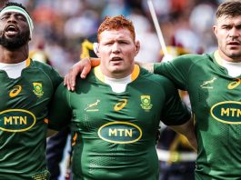 Springboks All Blacks
