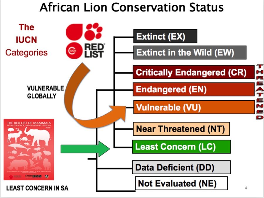 captive lion breeding South Africa