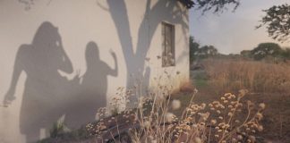 WATCH Stella Murders trailer: investigating deaths of teen best friends in South Africa