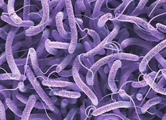 cholera outbreak