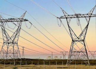 Will a State of Disaster fix the electricity crisis?