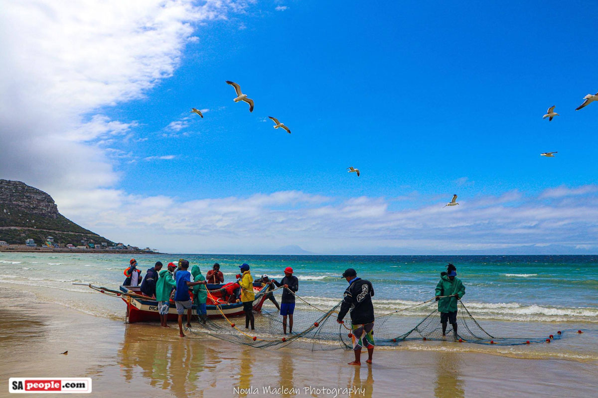Trek Fish The colourful Trek fishermen of Fish Hoek and Yellowtail - PICTURES ...