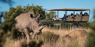 Wildlife conservation jeopardised by rising costs in South Africa