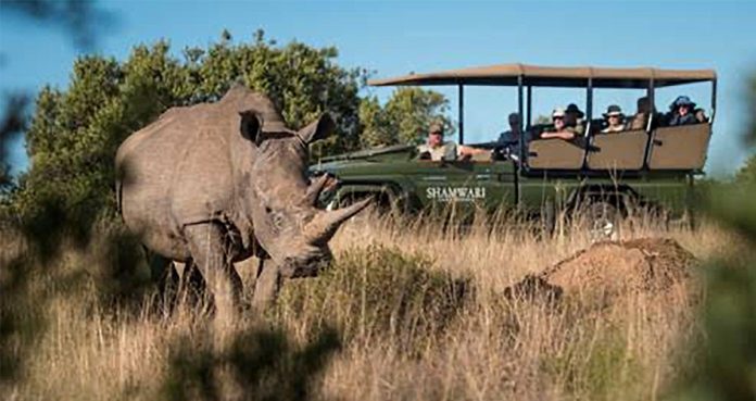 Wildlife conservation jeopardised by rising costs in South Africa Wildlife conservation jeopardised by rising costs in South Africa