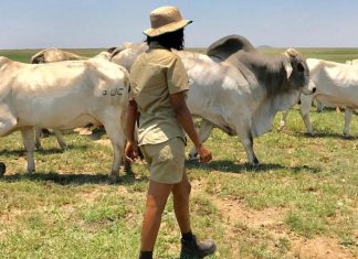 Government comes to the aid of young KZN farmer