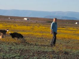 Police make swift arrests after horrific farm murder of 74-year-old woman