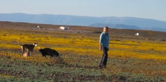 Police make swift arrests after horrific farm murder of 74-year-old woman