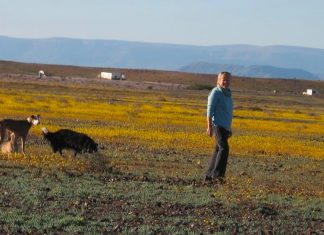 Police make swift arrests after horrific farm murder of 74-year-old woman