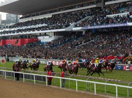 Hollywoodbets Durban July