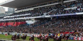 Hollywoodbets Durban July