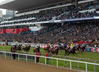 Hollywoodbets Durban July