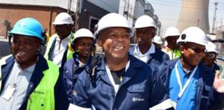 Eskom will resolve power crisis - Electricity Minister