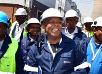 Eskom will resolve power crisis - Electricity Minister