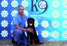 Police dog