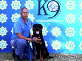 Police dog