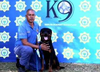 Police dog
