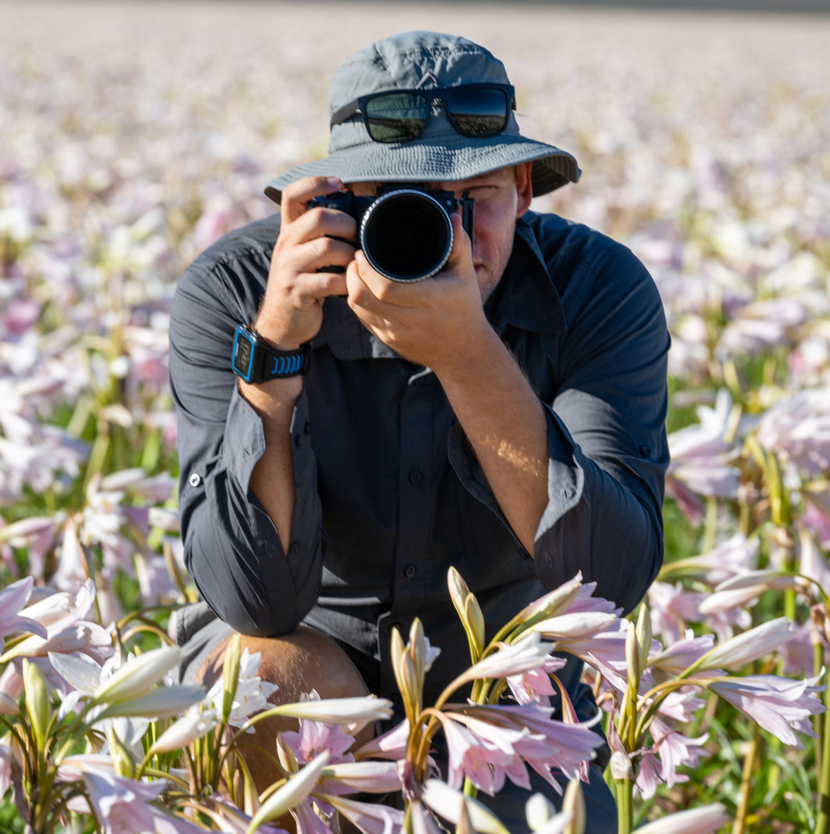 Cape Town photographer captures rare phenomenon Sandhof lilies in full