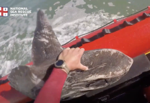 NSRI Sunfish Rescue