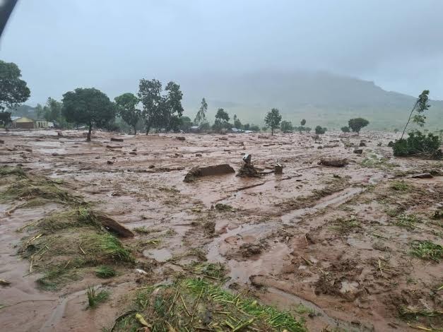 Mango tree saves top Malawian musician from death in floods