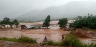 Mango tree saves top Malawian musician from death in floods