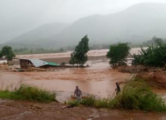 Mango tree saves top Malawian musician from death in floods